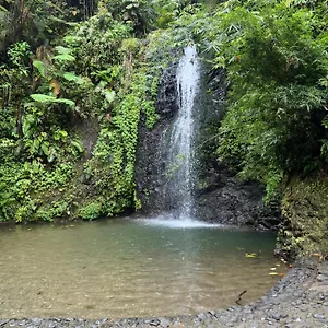 Le Ketmie Nature Et Decouverte Fond-Saint-Denis